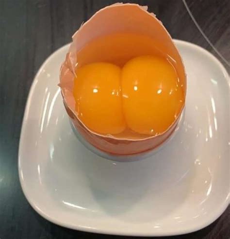 Interpretations of Double Yolks in Different Cultures